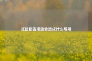 征信报告泄露会造成什么后果
