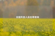 全国失信人员名单查询