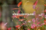 征信报告会显示什么内容
