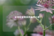 征信业管理条例第四十条