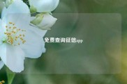 免费查询征信app