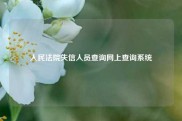 人民法院失信人员查询网上查询系统