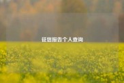 征信报告个人查询