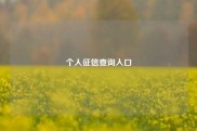 个人征信查询入口