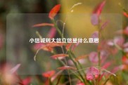 小信诚则大信立信是什么意思