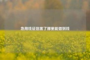 急用钱征信黑了哪里能借到钱