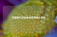 中国银行征信查询免费网上查询