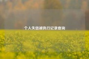 个人失信被执行记录查询