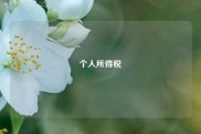 个人所得税
