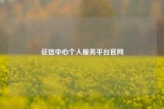 征信中心个人服务平台官网