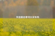 失信黑名单可以买车吗