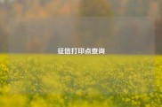 征信打印点查询