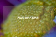 失去征信多久能恢复