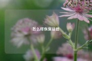 怎么样恢复征信