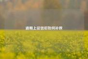 逾期上征信后如何补救