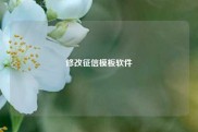 修改征信模板软件
