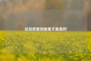 征信修复到底是不是真的