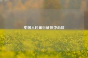 中国人民银行征信中心网