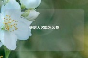 失信人名单怎么查