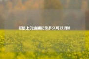 征信上的逾期记录多久可以消除