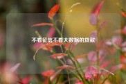 不看征信不看大数据的贷款