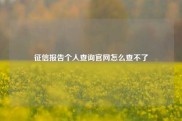 征信报告个人查询官网怎么查不了