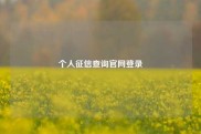 个人征信查询官网登录