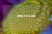征信报告可以p图吗
