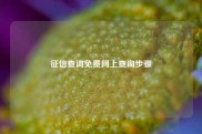 征信查询免费网上查询步骤