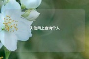 失信网上查询个人