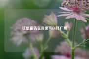 征信报告在哪里可以打广州