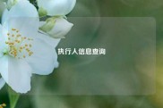 执行人信息查询