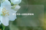 济宁失信人员黑名单查询