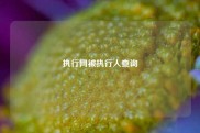 执行网被执行人查询