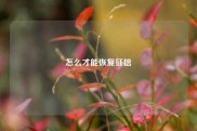 怎么才能恢复征信