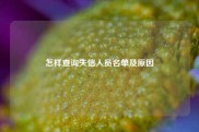 怎样查询失信人员名单及原因