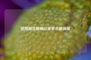 信用报告逾期记录多久能消除